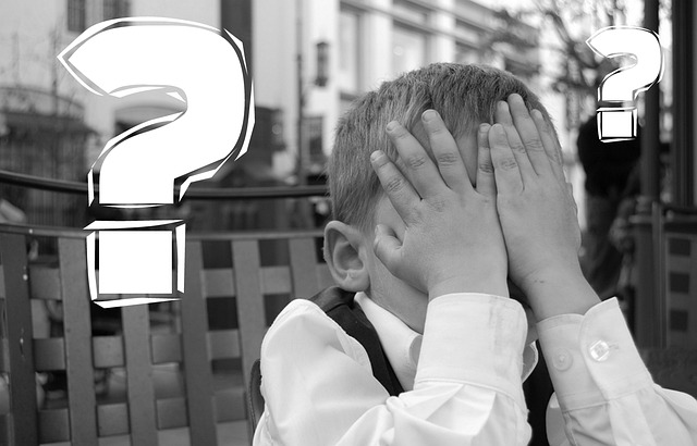 ¿Qué es un error crítico en WordPress