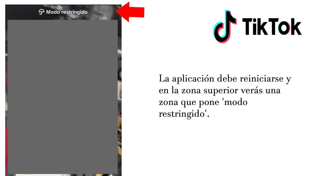 Cómo administrar o activar el modo restringido en TikTok
